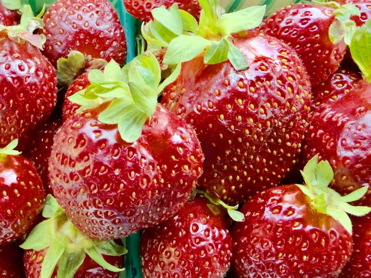 California exported $23.8 billion in agricultural goods in 2024.
